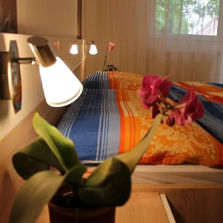 Loki Apartment *